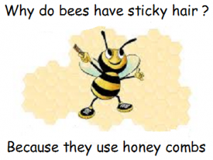 You must bee joking-why do bees have sticky hair because they have honeycombs